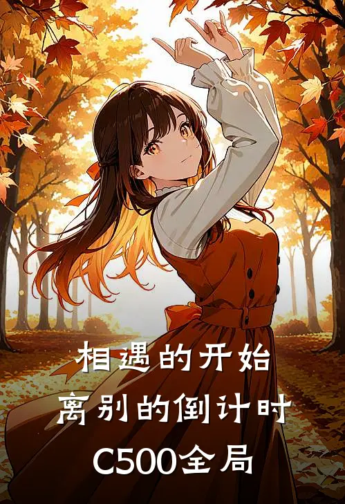 相遇的开始，离别的倒计时C500全局
