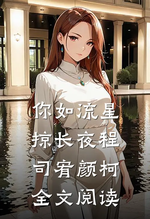 你如流星掠长夜程司宥颜柯全文阅读