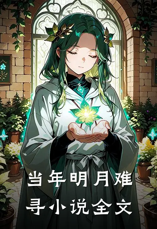 当年明月难寻小说全文