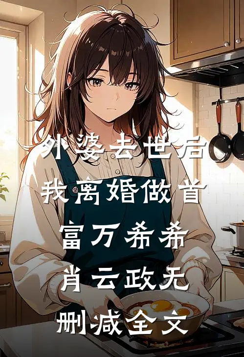 外婆去世后，我离婚做首富万希希肖云政无删减全文