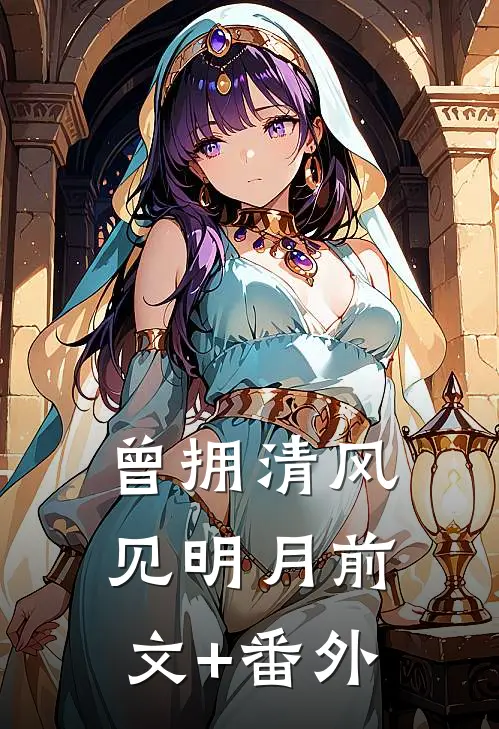 曾拥清风见明月前文+番外