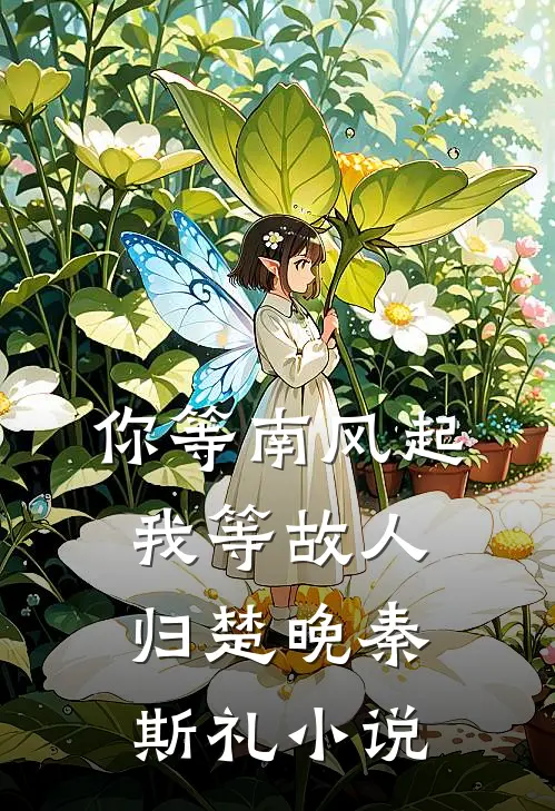 你等南风起，我等故人归楚晚秦斯礼小说