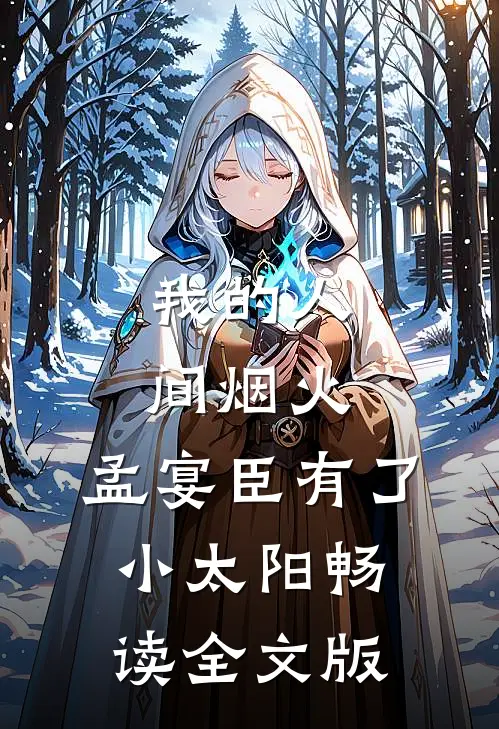 我的人间烟火：孟宴臣有了小太阳畅读全文版