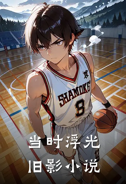 当时浮光旧影小说