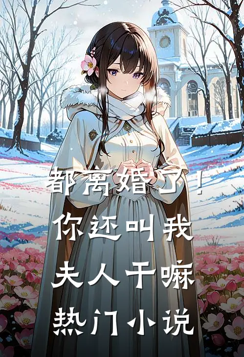 都离婚了！你还叫我夫人干嘛热门小说