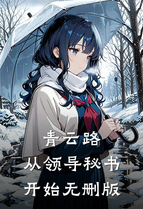青云路：从领导秘书开始无删版