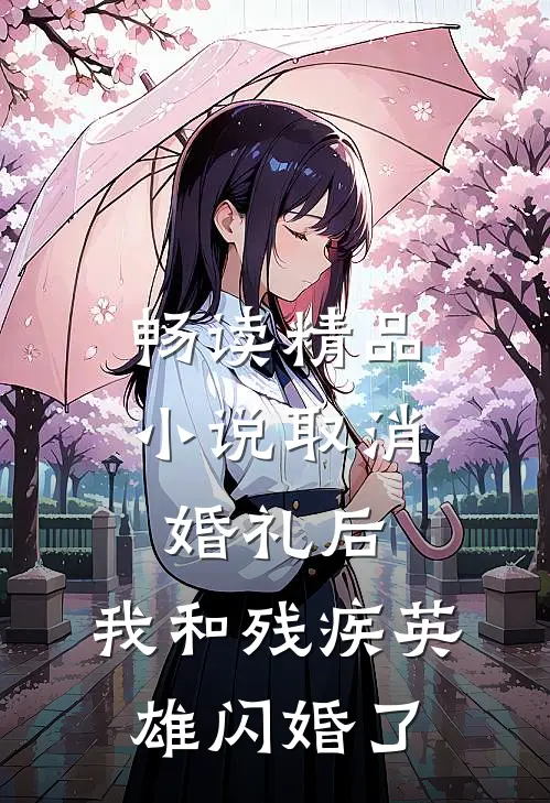 畅读精品小说取消婚礼后，我和残疾英雄闪婚了