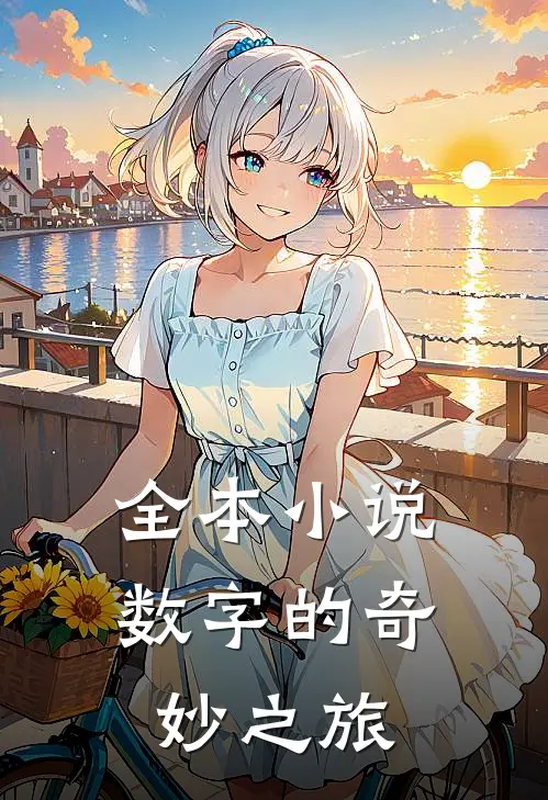 全本小说数字的奇妙之旅