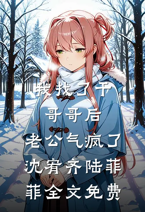 我找了干哥哥后，老公气疯了沈宥齐陆菲菲全文免费