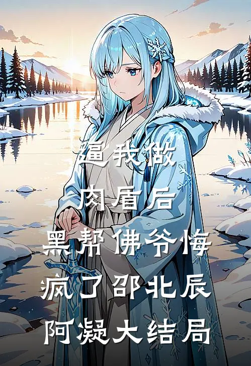 逼我做肉盾后，黑帮佛爷悔疯了邵北辰阿凝大结局