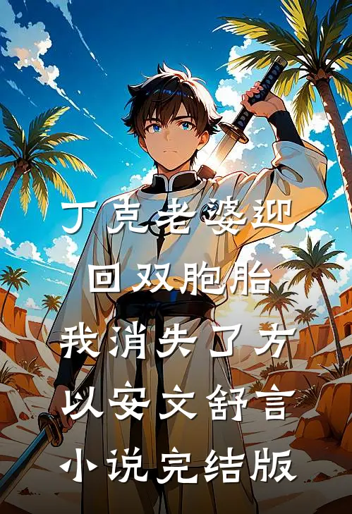 丁克老婆迎回双胞胎，我消失了方以安文舒言小说完结版