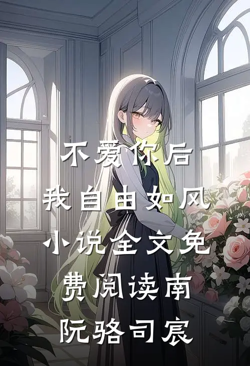 不爱你后，我自由如风小说全文免费阅读南阮骆司宸
