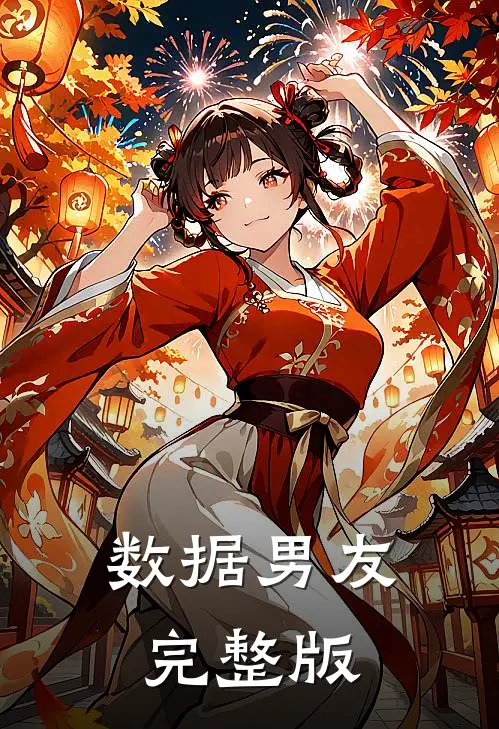 数据男友完整版