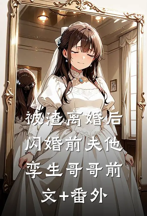 被渣离婚后，闪婚前夫他孪生哥哥前文+番外