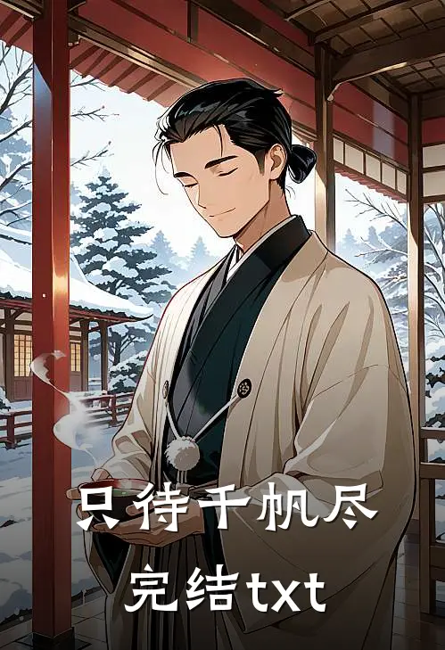 只待千帆尽完结txt