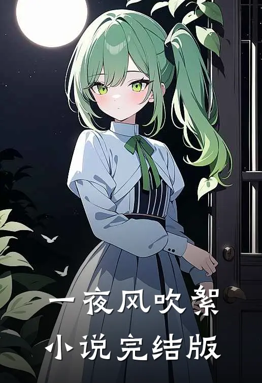 一夜风吹絮小说完结版
