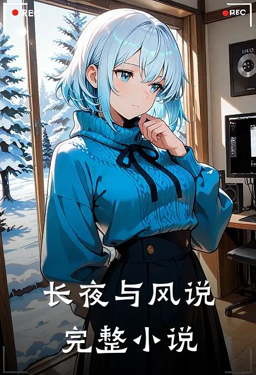 长夜与风说完整小说