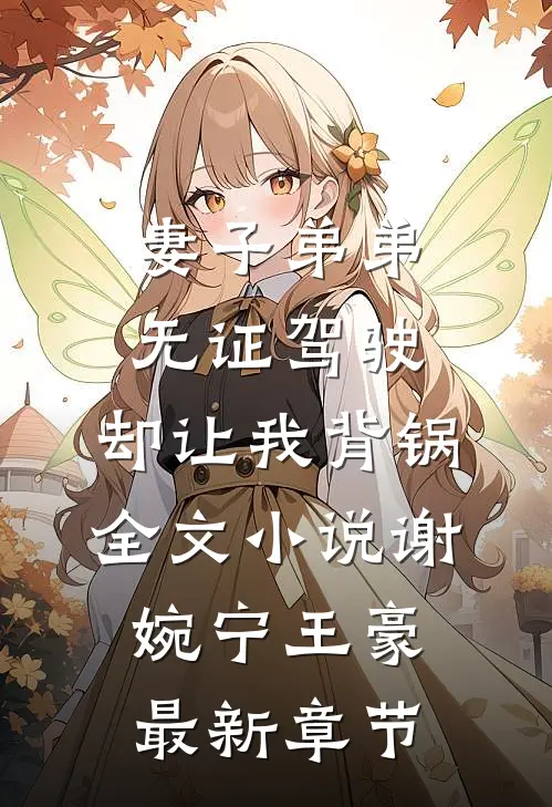 妻子弟弟无证驾驶，却让我背锅全文小说谢婉宁王豪最新章节
