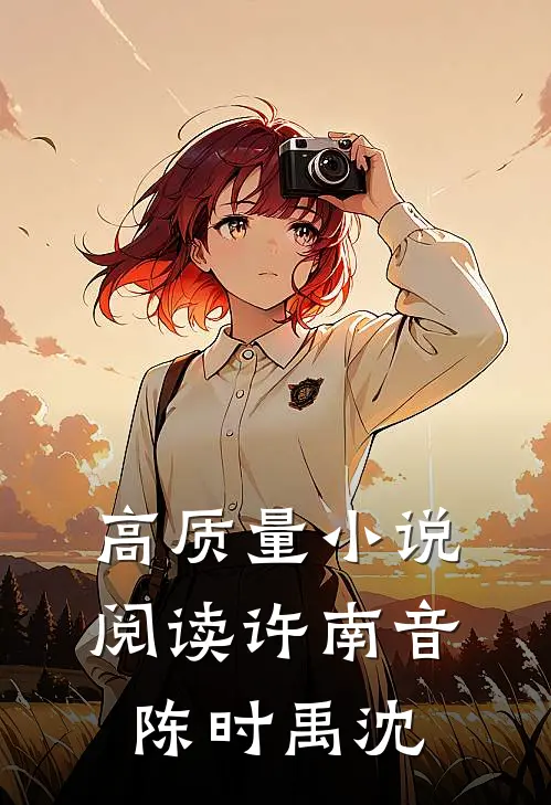 高质量小说阅读许南音陈时禹沈