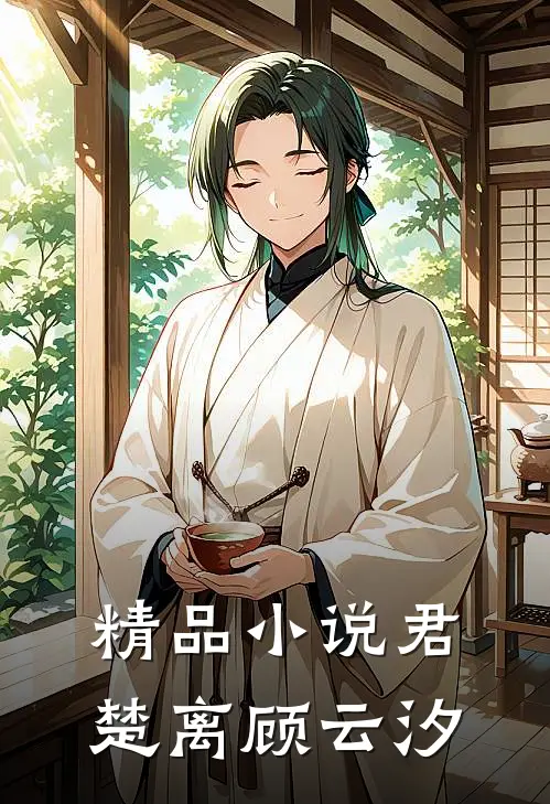 精品小说君楚离顾云汐