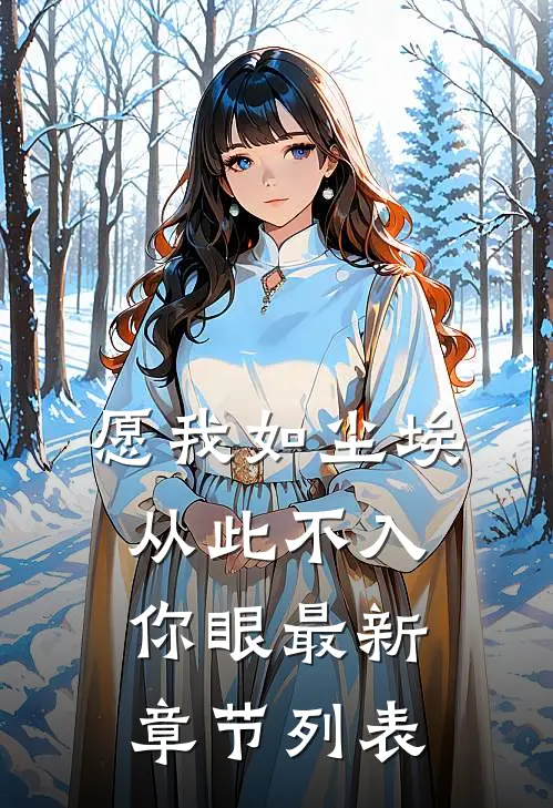 愿我如尘埃，从此不入你眼最新章节列表