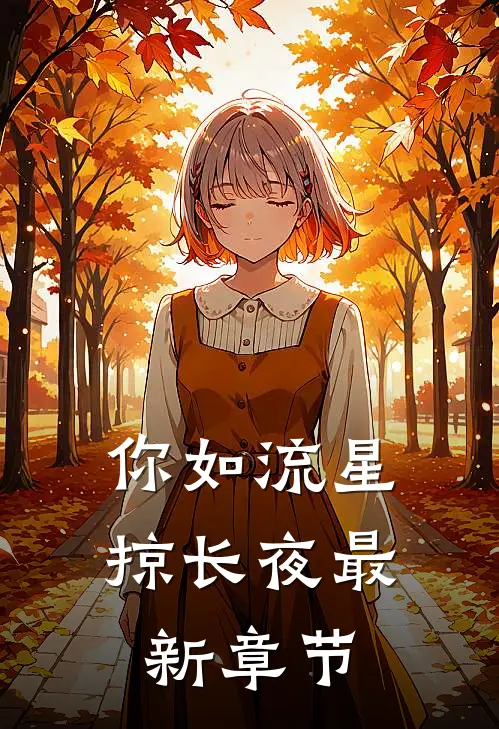 你如流星掠长夜最新章节