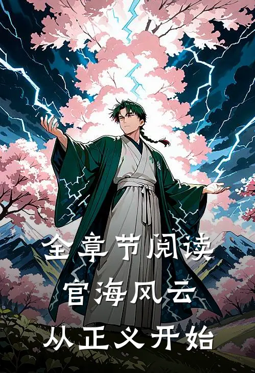 全章节阅读官海风云：从正义开始