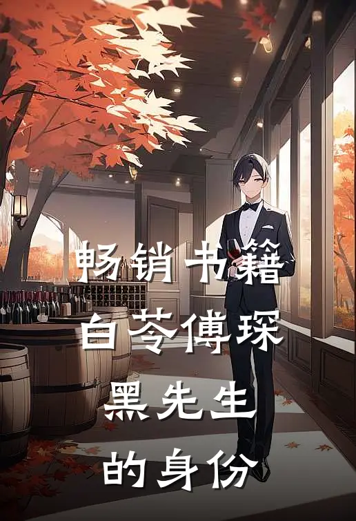 畅销书籍白苓傅琛黑先生的身份