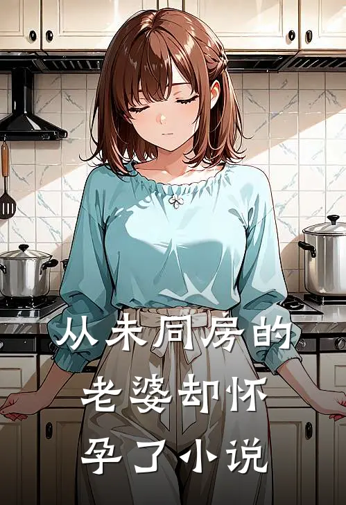 从未同房的老婆却怀孕了小说