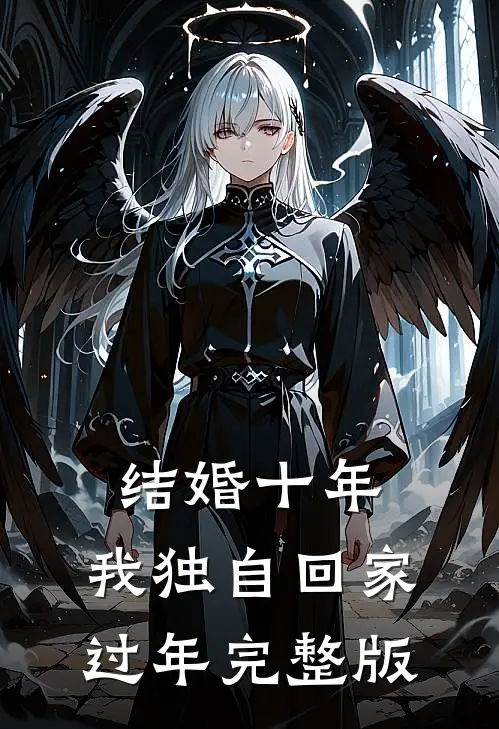 结婚十年，我独自回家过年完整版