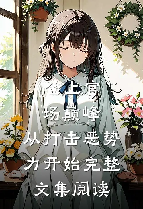 登上官场巅峰，从打击恶势力开始完整文集阅读