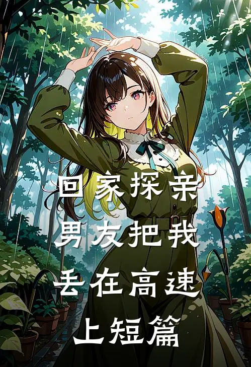 回家探亲，男友把我丢在高速上短篇